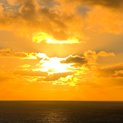 onemoreday@critter.cafe